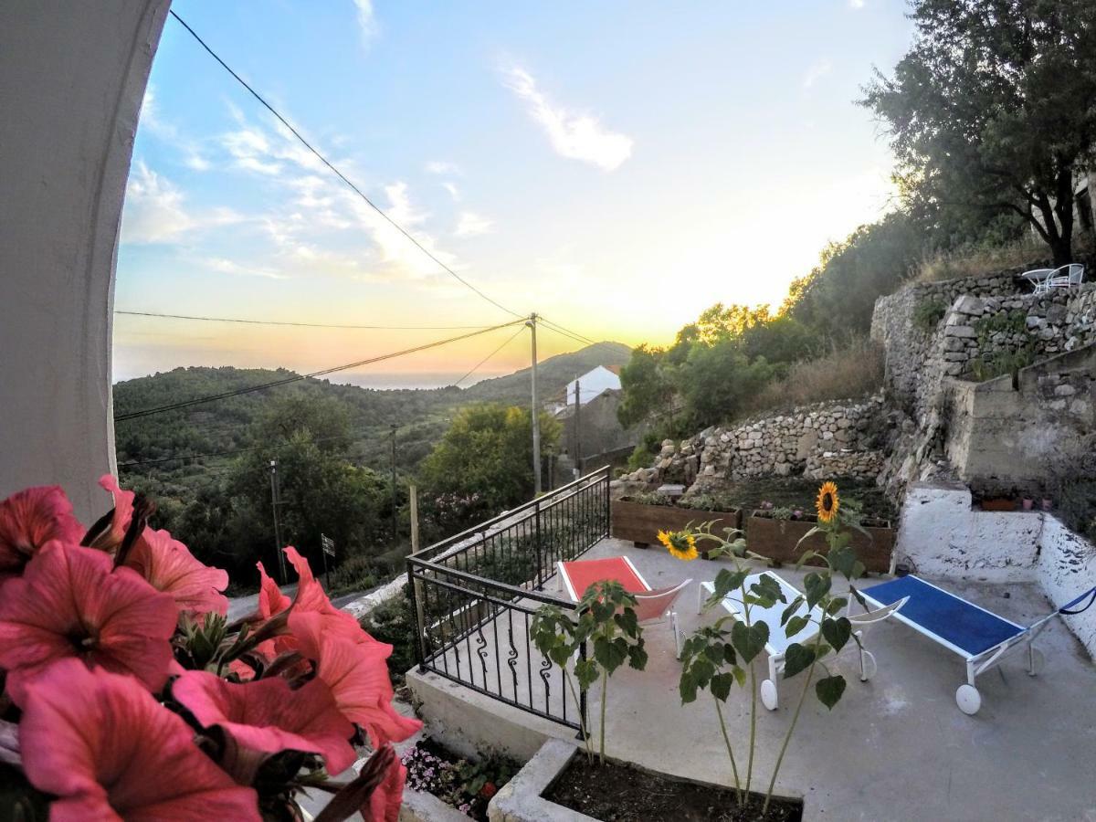 Babino Polje Apartment Lilly מראה חיצוני תמונה
